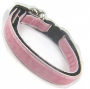 Shrimp Velvet Cool Cat Collar